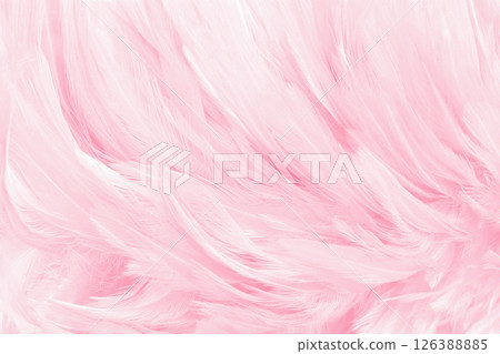 Beautiful soft pink bird feathers pattern texture background. 126388885