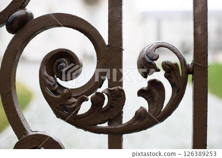 Wrought Iron Gate Detail on Beaux Arts Museum Entrance Wrought Iron Gate Detail on Beaux Arts Museum Entrance 126389253