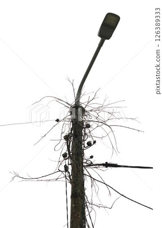 Tangled Power Lines on Aging Utility Pole Tangled Power Lines on Aging Utility Pole 126389333