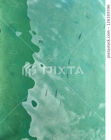Malaysia: The shallow waters of Tioman Island are like a pattern made by fish and shadows Malaysia: The shallow waters of Tioman Island are like a pattern made by fish and shadows 126389396