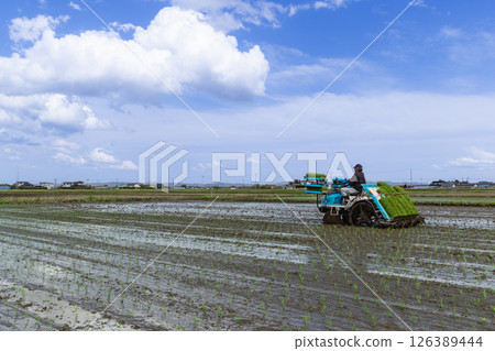 Rice planting work with rice transplanters 126389444