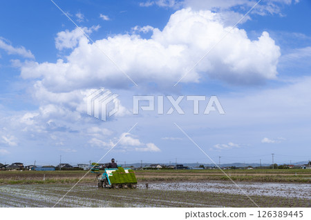 Rice planting work with rice transplanters 126389445