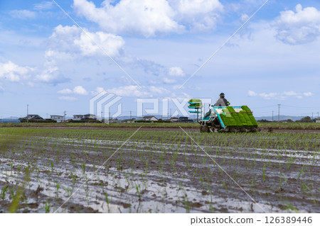 Rice planting work with rice transplanters 126389446