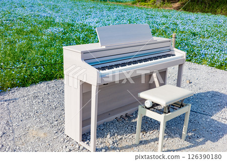 A street piano on Nemophila Hill in Agripark, Kobe City in spring 126390180