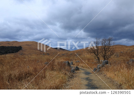 秋吉台荒涼的喀斯特高原風光 秋吉台荒涼的喀斯特高原風光 126390501