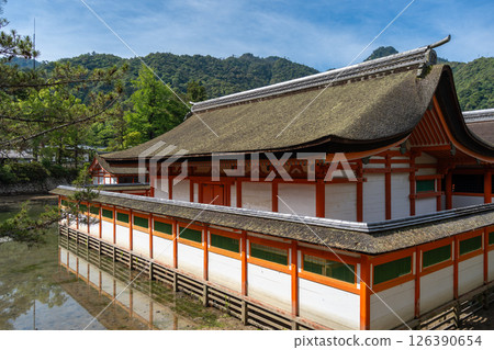 Traditional buildings of Itsukushima shrine in Miyajima, near Hiroshima 126390654