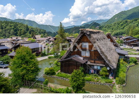Traditional houses and rice fields in Shirakawa-go, rural Japan 126390658