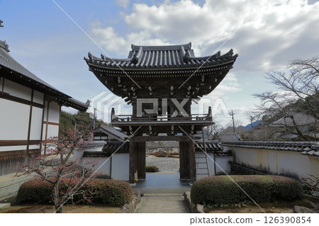 A view of the bell tower gate of Joshinji Temple in Yamaguchi in early spring when red plum blossoms bloom A view of the bell tower gate of Joshinji Temple in Yamaguchi in early spring when red plum blossoms bloom 126390854