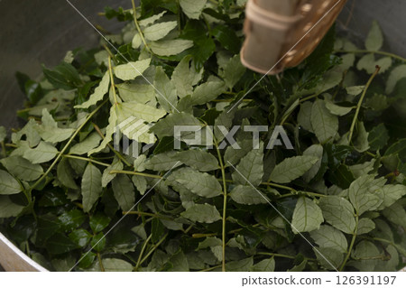 佃煮(煮日本胡椒)的製作過程 佃煮(煮日本胡椒)的製作過程 佃煮(煮日本胡椒)的製作過程 佃煮(煮日本胡椒)的製作過程 126391197