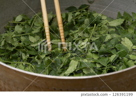 The process of making tsukudani (simmered Japanese pepper) The process of making tsukudani (simmered Japanese pepper) The process of making tsukudani (simmered Japanese pepper) The process of making tsukudani (simmered Japanese pepper) 126391199