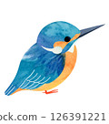 Sitting Kingfisher 126391221