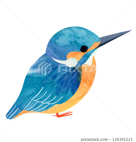 坐著的翠鳥 126391221