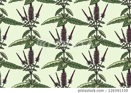 Botanical floral seamless pattern with wildflowers vector illustration. Repeating medicinal plants with purple Flowers Stems Leaves in pastel green background. Graphic design for Fashion Wedding Cover Botanical floral seamless pattern with wildflowers vector illustration. Repeating medicinal plants with purple Flowers Stems Leaves in pastel green background. Graphic design for Fashion Wedding Cover 126391330