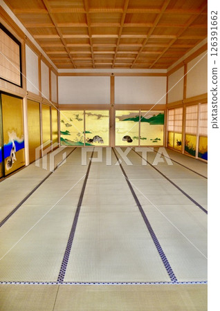 隔間畫《櫻花與雉雞》（名古屋城、本丸禦殿、表書院一間東側/愛知縣名古屋市） 126391662