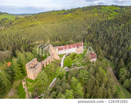 Drone captures the stunning aerial view of Velhartice Castle, surrounded by lush greenery and ancient trees. This historical site highlights its impressive architecture and natural setting. 126391892