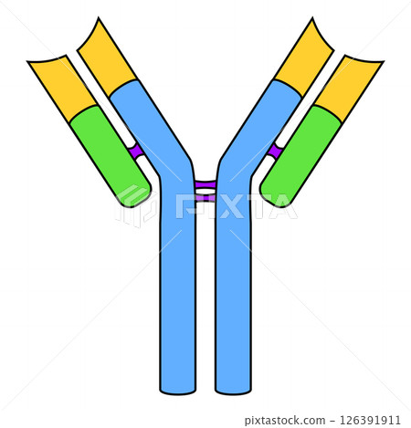 Antibody molecule icon Antibody molecule icon 126391911
