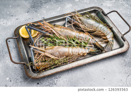 Freshly caught raw rosenbergii prawn displayed elegantly, highlighting their natural beauty and premium quality. grey background. top view 126393563