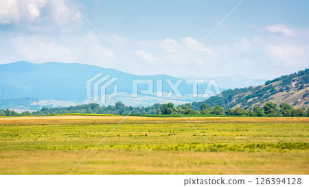 landscape with rural field. mountainous countryside of romania in summer. cloudy sky. green hill landscape with rural field. mountainous countryside of romania in summer. cloudy sky. green hill 126394128