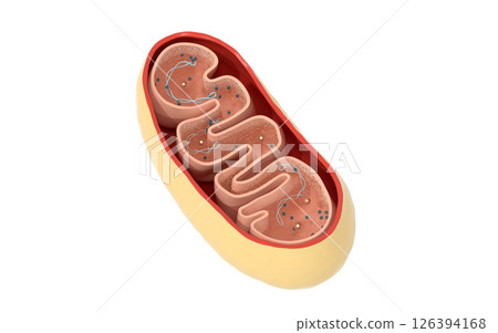 biotechnology, bio, evolution 126394168