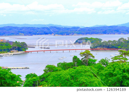 從松島公園西行看到的松島灣 126394189