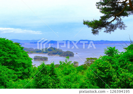 從松島公園西行看到的松島灣 從松島公園西行看到的松島灣 126394195
