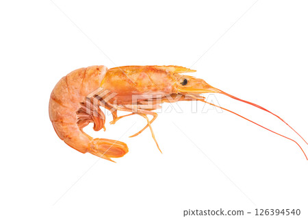 Fresh red Argentine shrimp, raw Prawn Langostino Austral isolated on white background. top view Fresh red Argentine shrimp, raw Prawn Langostino Austral isolated on white background. top view 126394540
