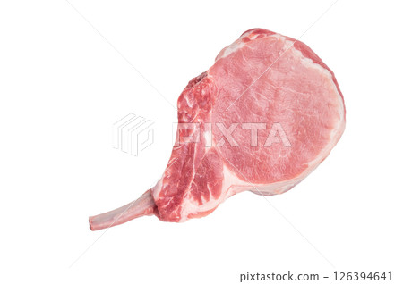 Fresh pork Chop Tomahawk steak, showcasing its impressive bone and marbled meat, perfect for grilling or roasting. isolated on white background. top view 126394641