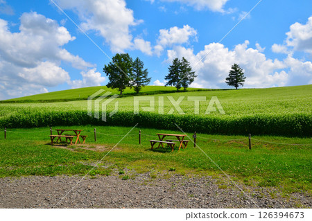 Summer Biei Hills Summer Biei Hills 126394673