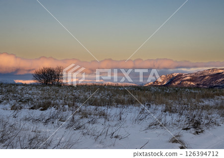 Winter meadow and sunrise clouds, Norway 126394712