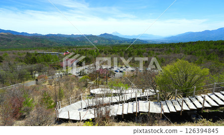 Stairs to the beautiful forest Stairs to the beautiful forest 126394845