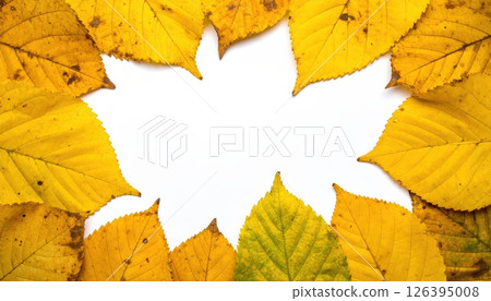 AI image: Yellow leaf frame material 126395008
