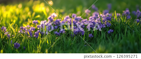 Colorful spring blossoms framed by vibrant green grass, bathed in gentle sunlight 126395271