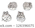 一組以水彩風格繪製的 Djungarian 倉鼠的各種姿勢 126396075