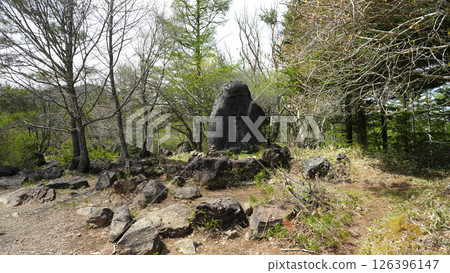 Beautiful forest on the summit of Mount Tenyo 126396147