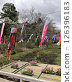 Carp streamers displayed in the park 126396183