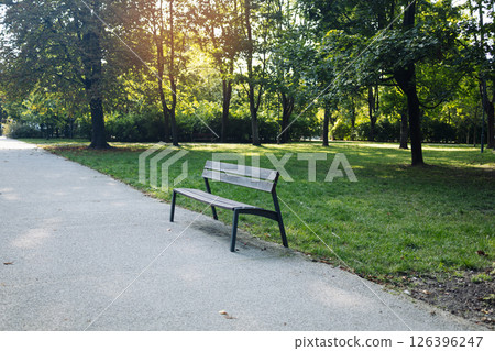 Empty park bench along pathway in green public park Empty park bench along pathway in green public park 126396247