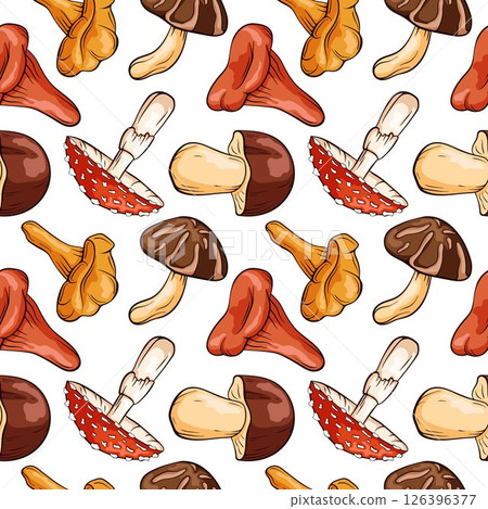 Seamless pattern of cartoon style mushroom fly agaric, Boletus, Chanterelle, Niscalo, Shiitake on a white background. Ideal for food packaging, textile, print and menu restaurant. 126396377