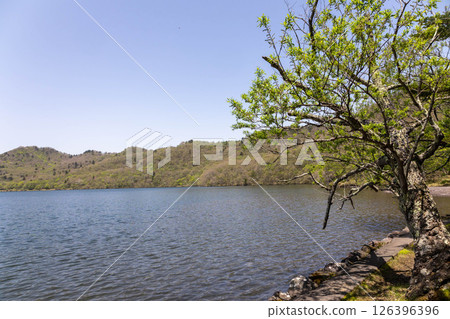 Mount Akagi in early summer, Lake Onuma 126396396