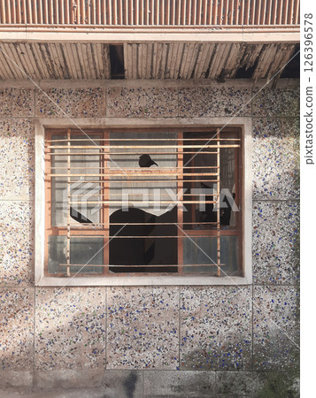 abandoned building with broken window 126396578