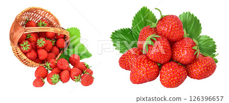 Strawberry in wicker basket isolated on white background. Fresh berry with full depth of field Strawberry in wicker basket isolated on white background. Fresh berry with full depth of field 126396657