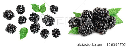 blackberry isolated on a white background closeup. Clipping path and full depth of field. Top view. Flat lay 126396702