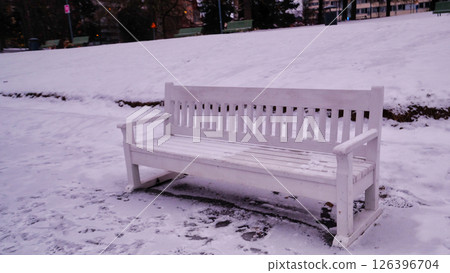 A white bench in the park on a cold, snowy day 126396704