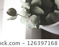 盆栽乾燥花 126397168