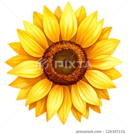 Sunflower Clipart Watercolor Joyful Natural Beauty 126397218