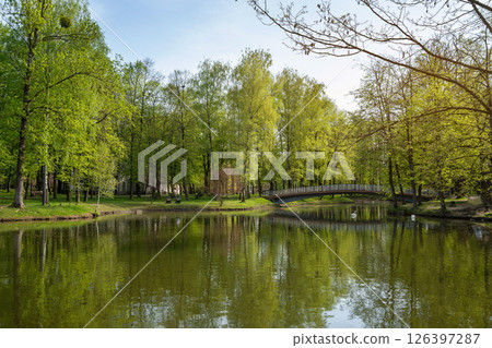 Beautiful view of a spring city park with lake, bridge and swans. Springtime landscape. Ivano-frankivsk. 126397287