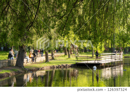 Beautiful view of a spring city park with lake, bridge and ducks. Springtime landscape. Ivano-frankivsk. Focus on the tree branches in the foreground at the top Beautiful view of a spring city park with lake, bridge and ducks. Springtime landscape. Ivano-frankivsk. Focus on the tree branches in the foreground at the top 126397324