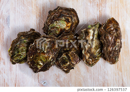 Raw oysters in closed shells 126397537