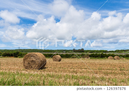 Landscape with grass roll Landscape with grass roll 126397876