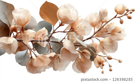 Pale Blossom Branch with Neutral Tones 126398285
