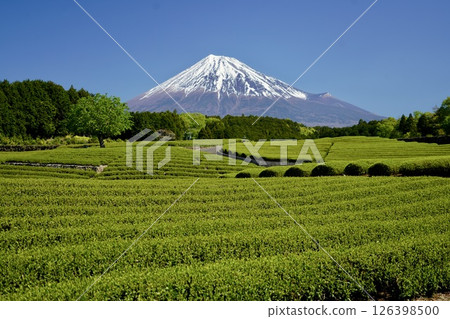 Obuchi Sasaba 126398500